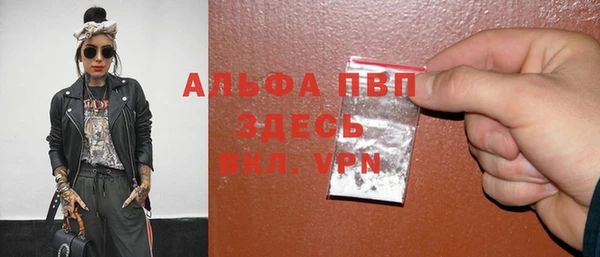 прущие грибы Белоозёрский