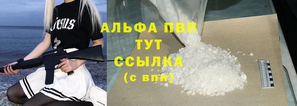 ECSTASY Белокуриха