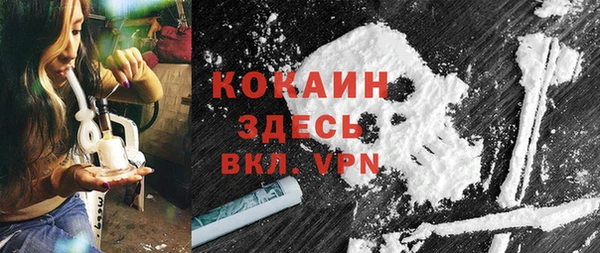 прущие грибы Белоозёрский