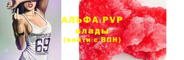 ECSTASY Белокуриха