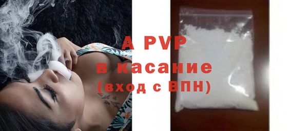 ECSTASY Белокуриха