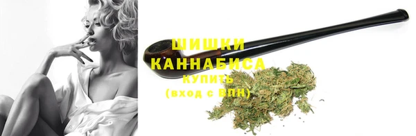 ECSTASY Белокуриха