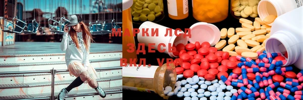 прущие грибы Белоозёрский