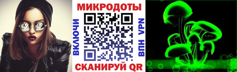 Галлюциногенные грибы Psilocybine cubensis  Няндома 