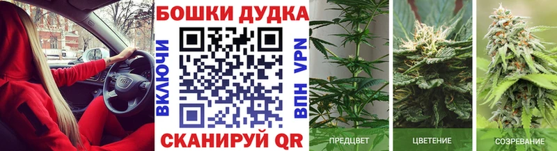 Каннабис Bruce Banner  купить  цена  Няндома 